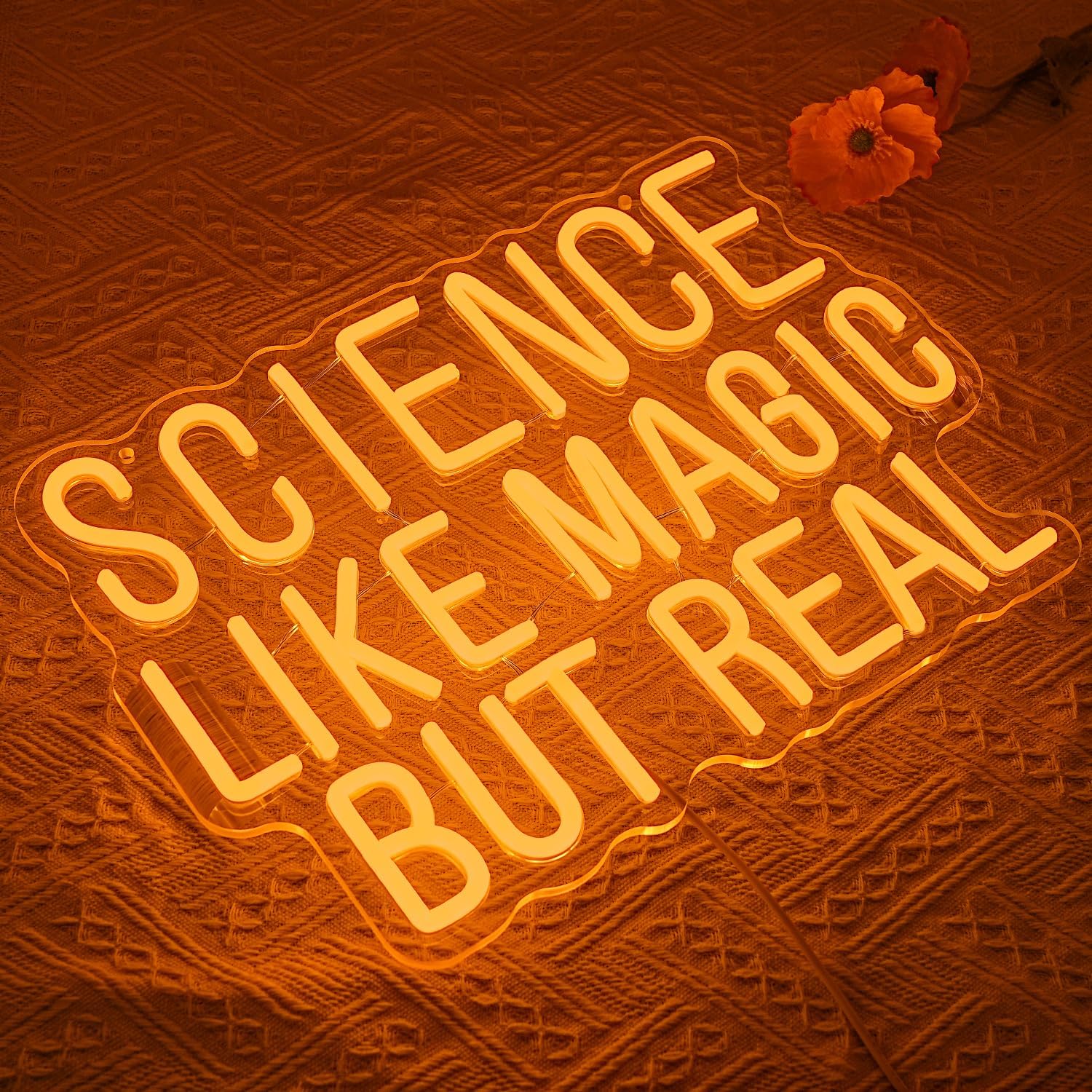 Science Like Magic But Real Ne - Science Hobbyist avaliação e preço