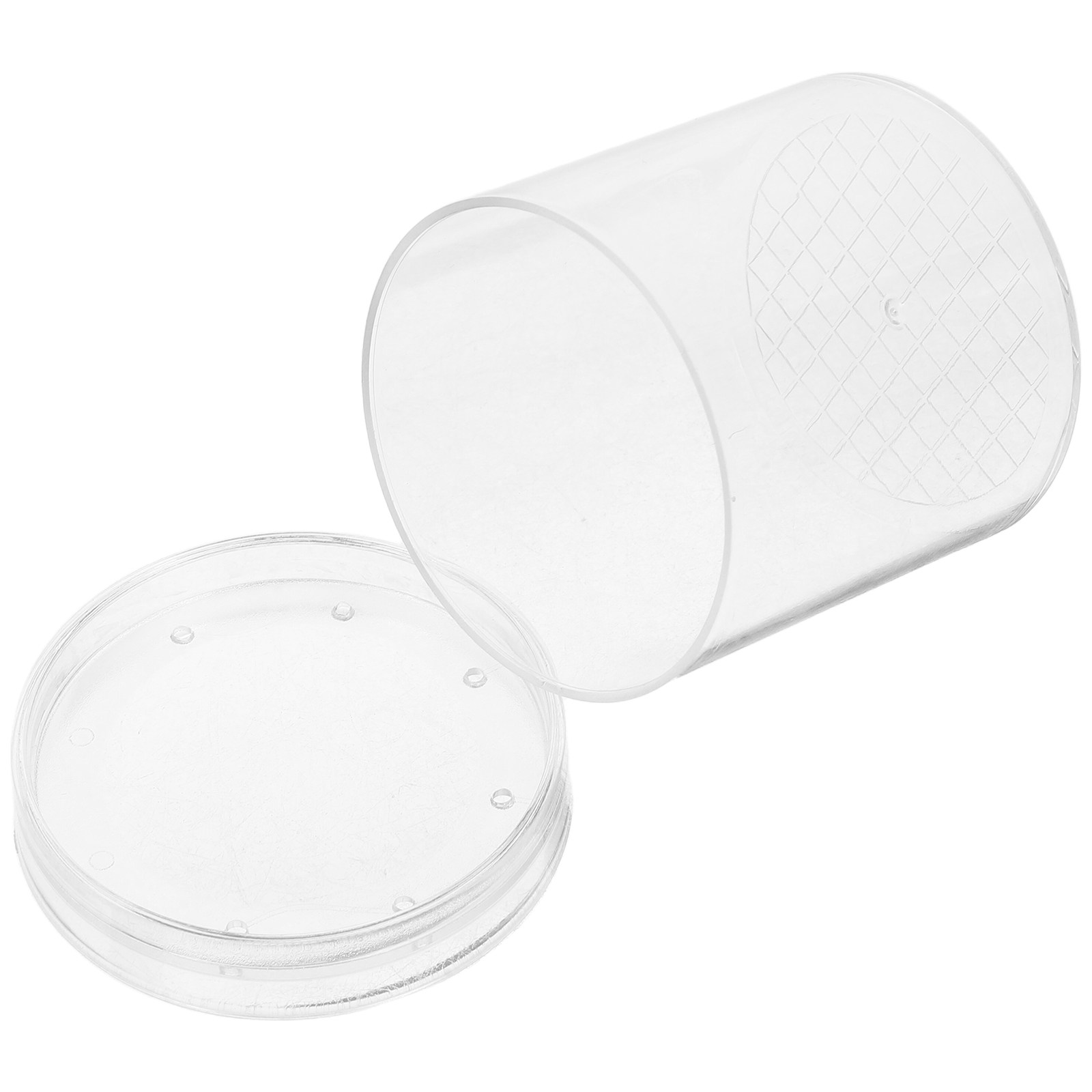 3X Magnifying Insect Observati - Science Toy avaliação e preço