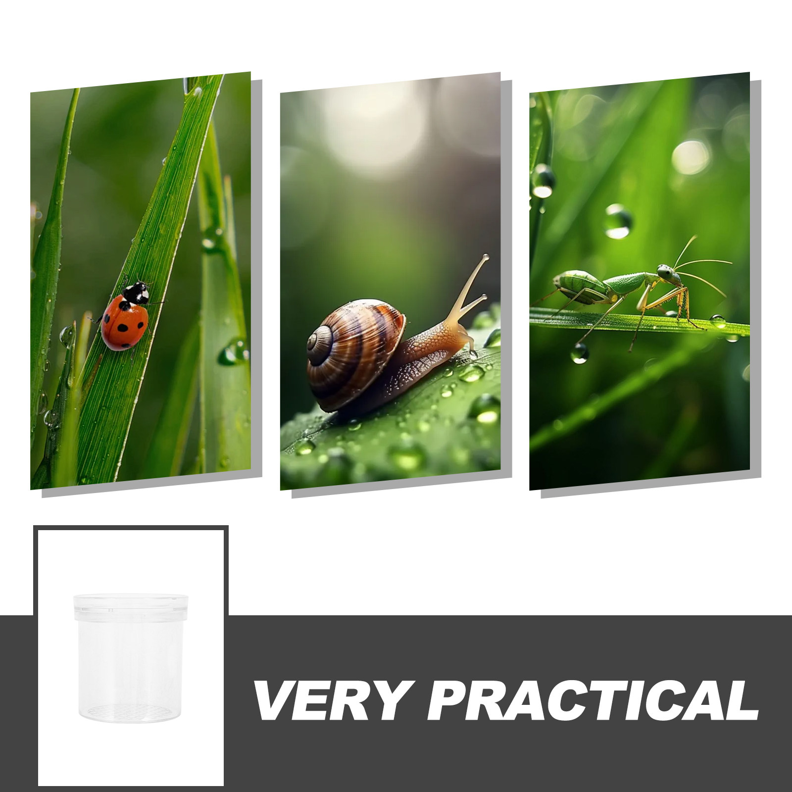 3X Magnifying Insect Observati - Science Toy avaliação e preço
