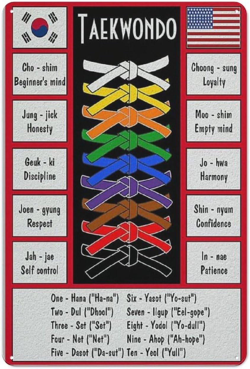 Taekwondo Knowledge Metal Sign - Science Hobbyist avaliação e preço