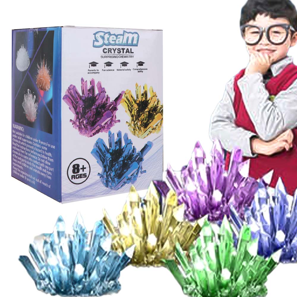 Grow a Crystal Crystal Growing - Science Project Diy avaliação e preço