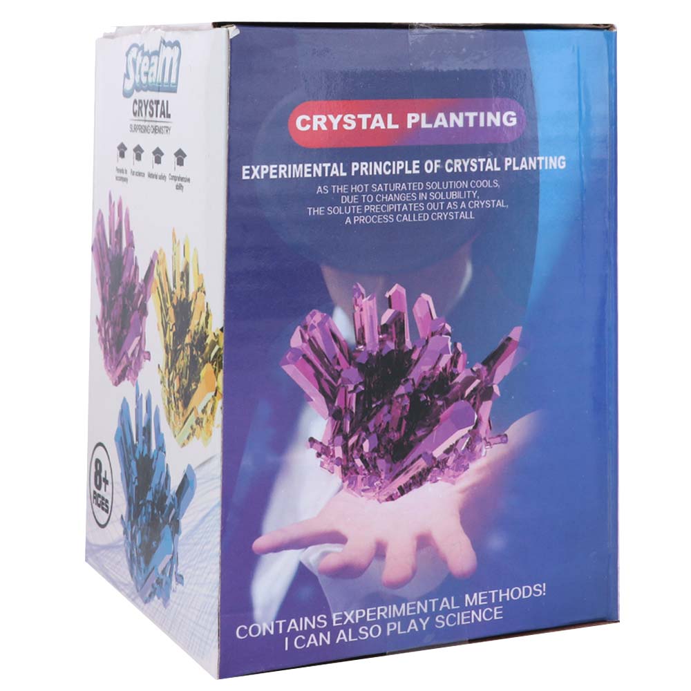 Grow a Crystal Crystal Growing - Science Project Diy avaliação e preço