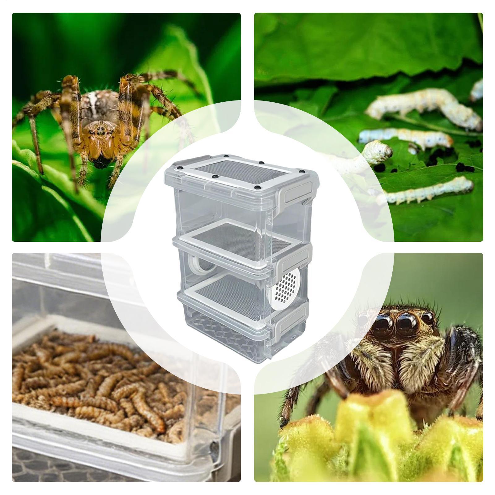 Mealworm Breeding Kit 3-Layer  - Science Hobbyist avaliação e preço