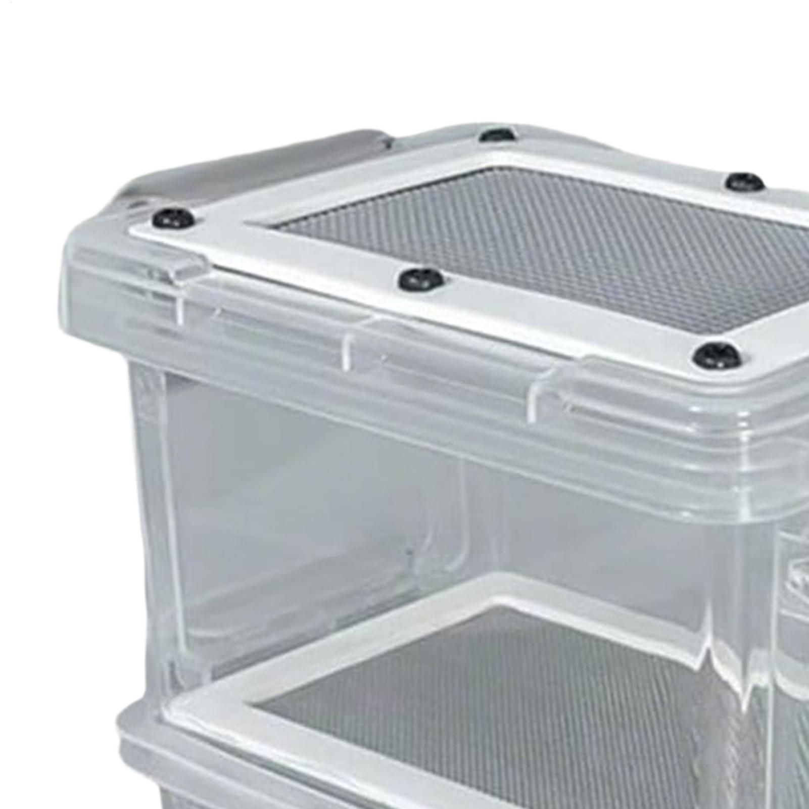 Mealworm Breeding Kit 3-Layer  - Science Hobbyist avaliação e preço