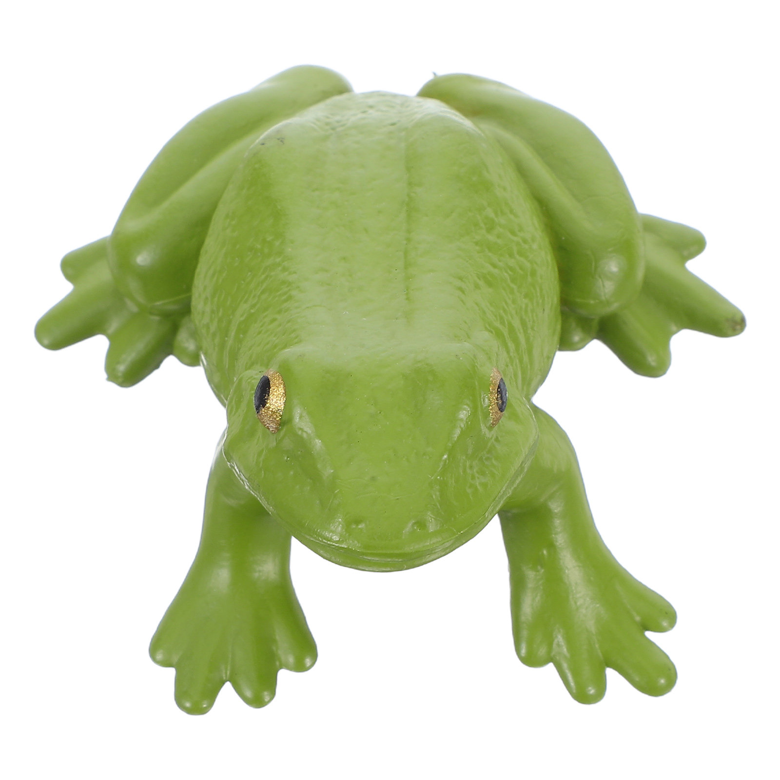 Realistic Tree Frog PVC Small  - Science Toy avaliação e preço