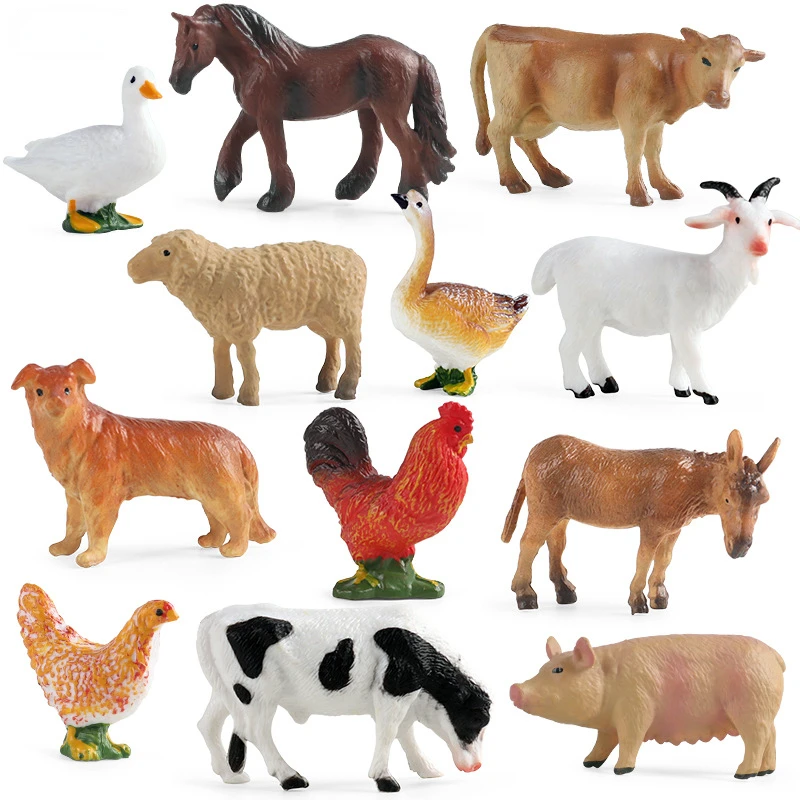 Education Teaching Tool Poultr - Science Toy avaliação e preço